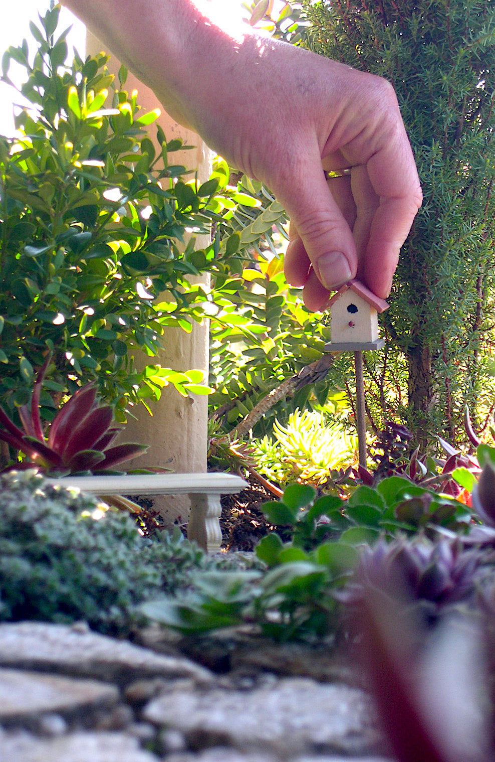 Easy Light Chart for Planting Outdoor Gardens of All Sizes