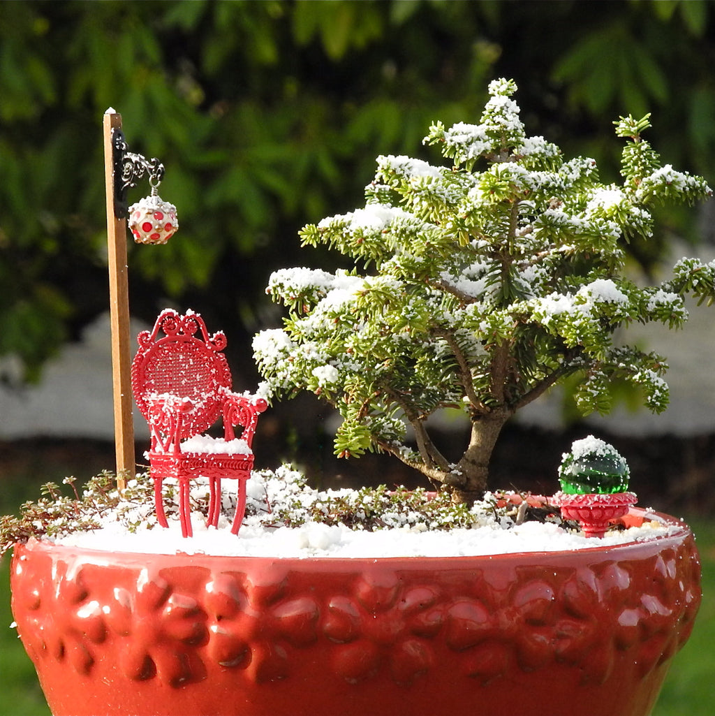 Zone 5 Miniature Plants - Dwarf Trees &amp; Shrubs for Cool Climates – Two ...
