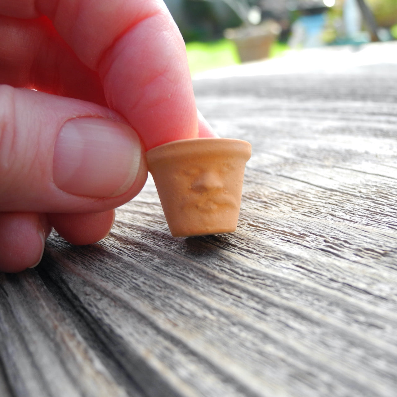 Miniature Face Pot with Sedum Cuttings