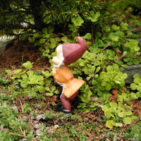 Miniature Garden Gnome - The Wonder Gnome