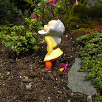 Miniature Garden Gnome - The Helper Gnome