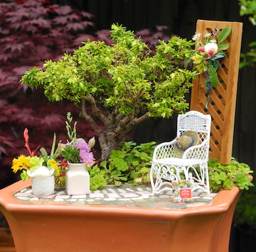 Custom Miniature Garden or Fairy Garden Kit, Expert Advice, Instructions Included