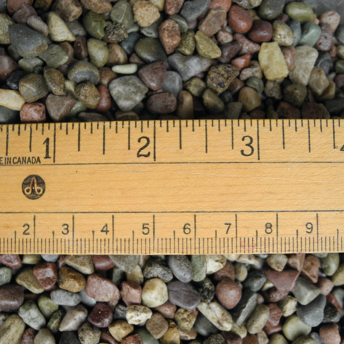 Miniature Garden Pretty Colored Blend, Pebbles for Fairy, Dollhouse Gardens Two Green Thumbs