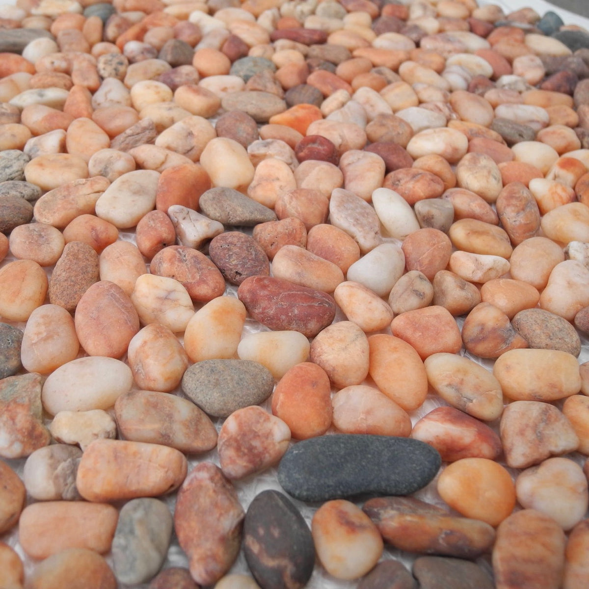 Caribbean Sunrise Stone Patio Sheet