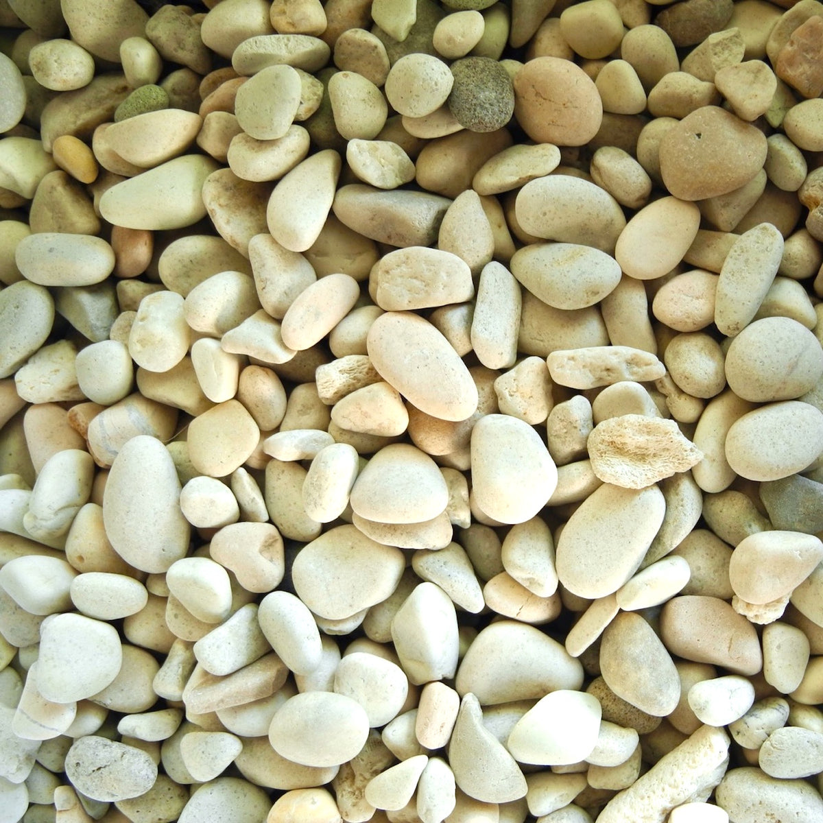 Miniature Garden Soft, Ivory Colored Pebbles for Fairy Gardens or Dollhouse Gardens Two Green