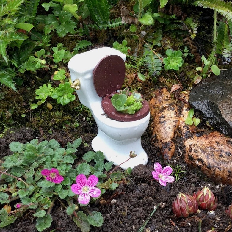 Miniature Garden Toilet Planter with Sedum Cuttings
