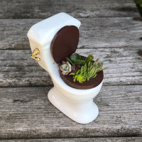 Miniature Toilet Planter with Sedum Cuttings