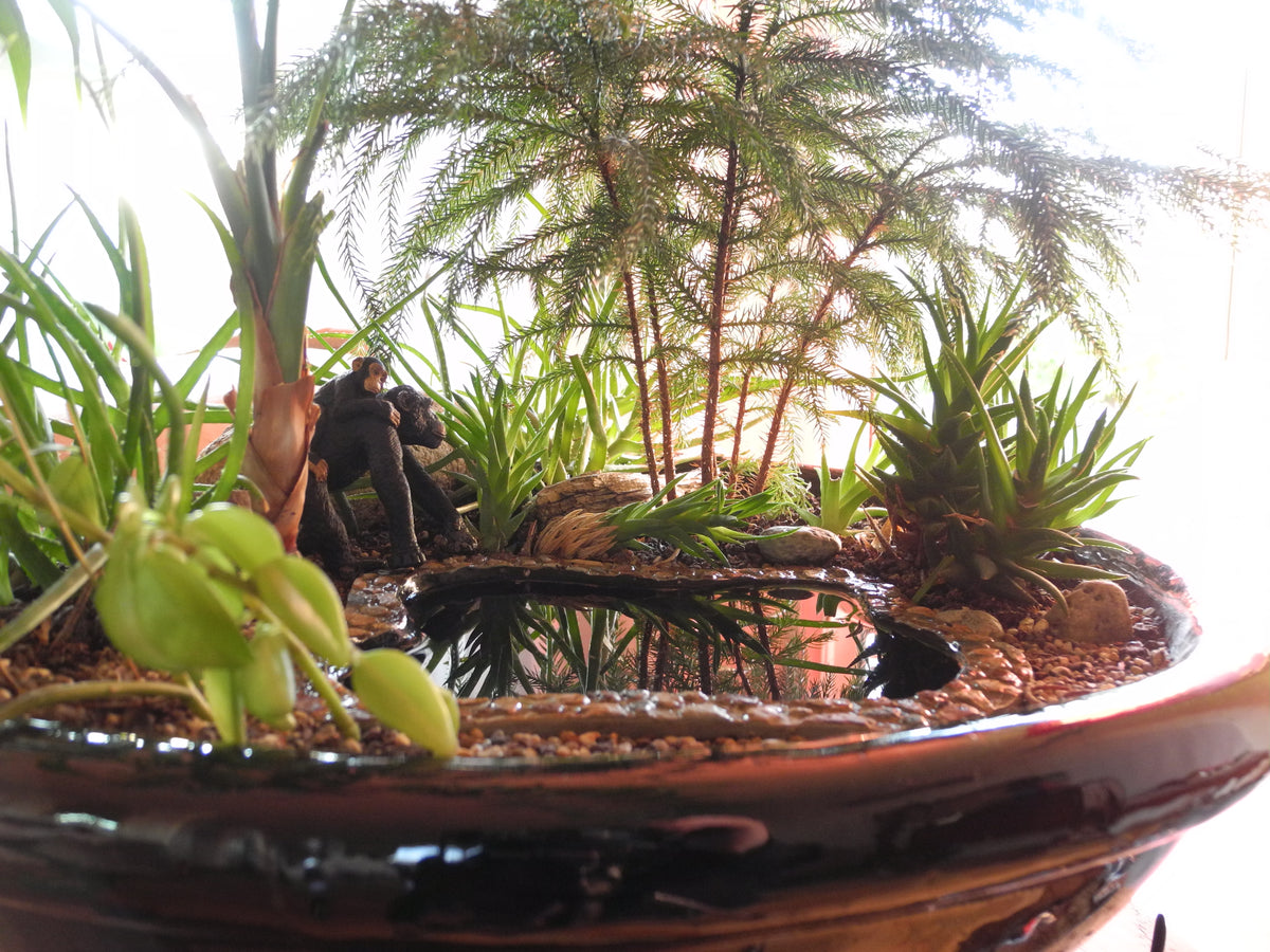 Indoor Miniature Gardening: How to Figure Out Your Indoor Light