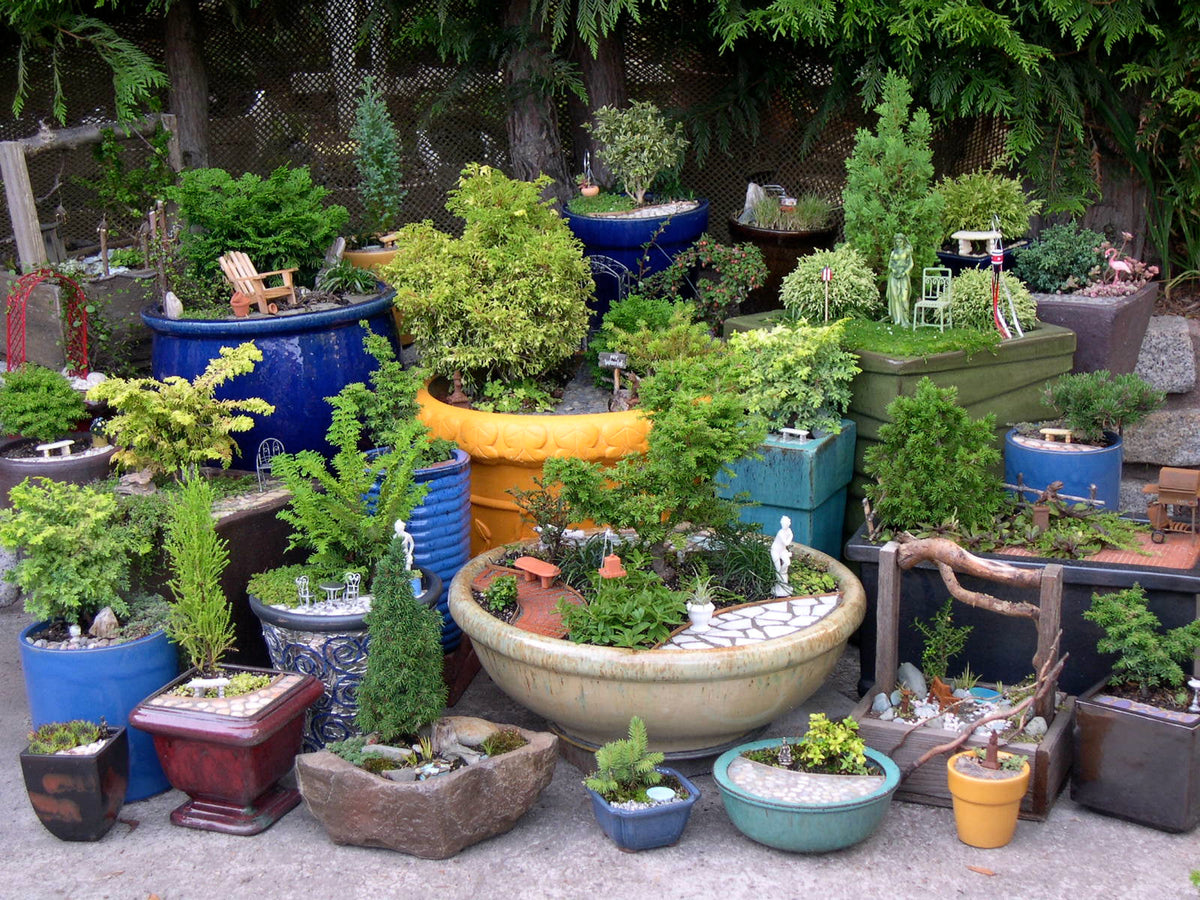 All Miniatures