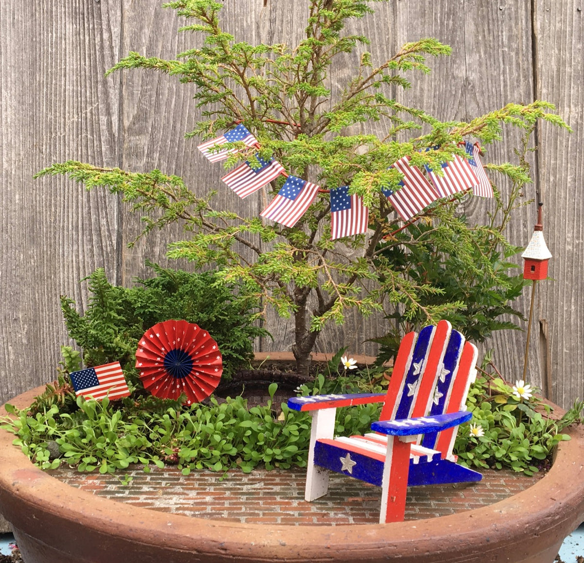 Zone 8 Plants