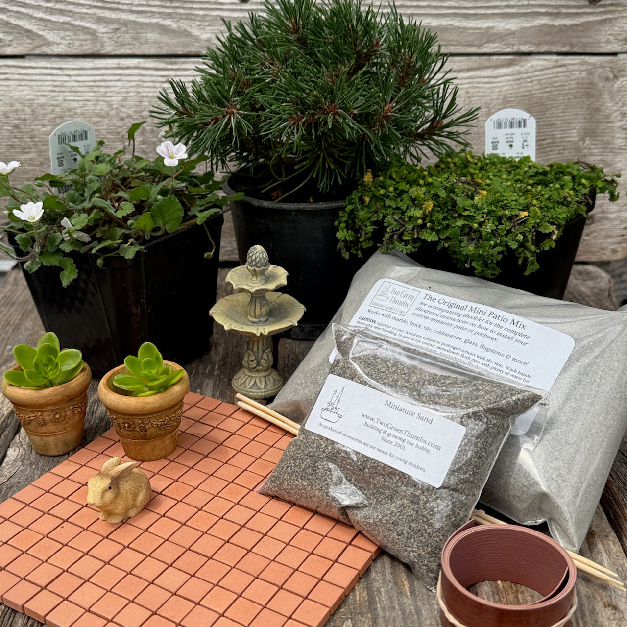 Miniature Garden Starter Kits - Getting Started Essentials – Two