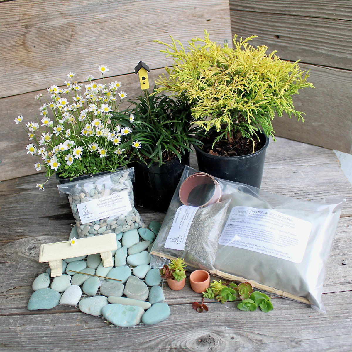 Miniature Garden Kits - Complete DIY Gardening Kits & More – Two Green ...