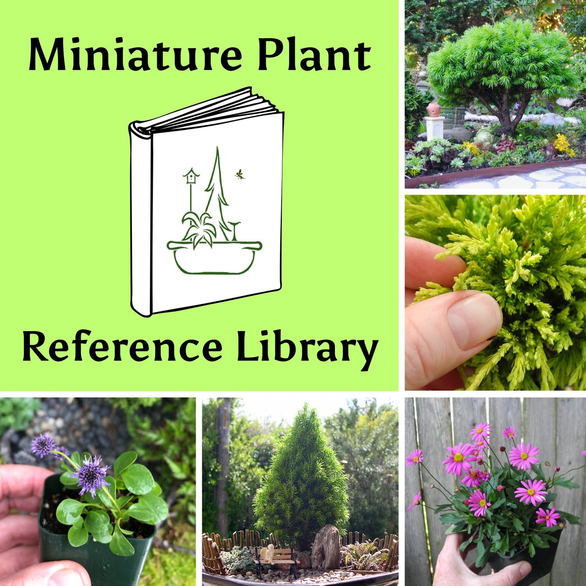 Miniature Plant Reference Library