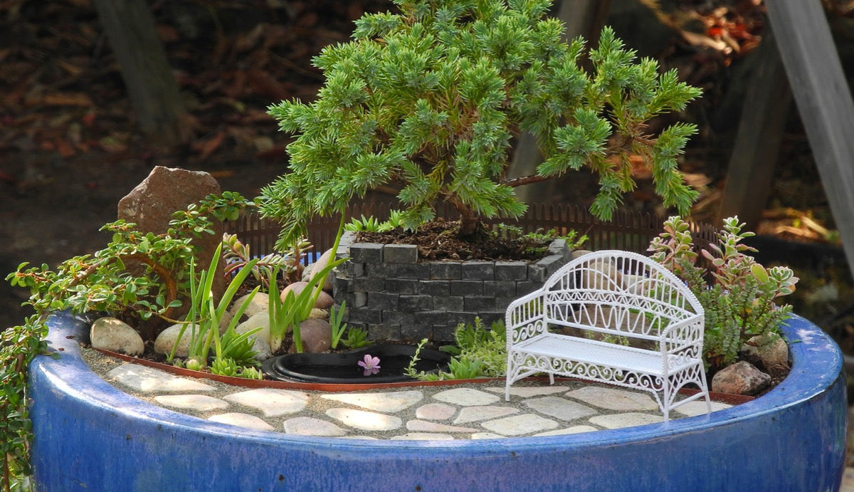 Plants - Sun, Part