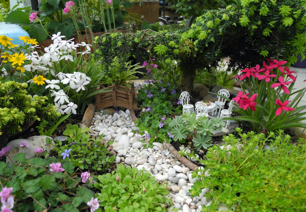 Low-Growing 'Bedding' Plants