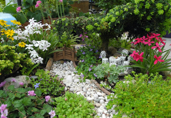 Low-Growing 'Bedding' Plants