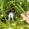 Dixie the Digging Dog, Kinda Trained