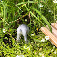 Dixie the Digging Dog, Kinda Trained