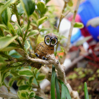 Mr. Beaks, the Tiny Mini Garden Owl