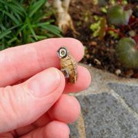 Mr. Beaks, the Tiny Mini Garden Owl