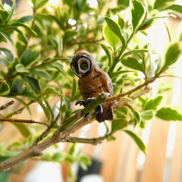 Mr. Beaks, the Tiny Mini Garden Owl