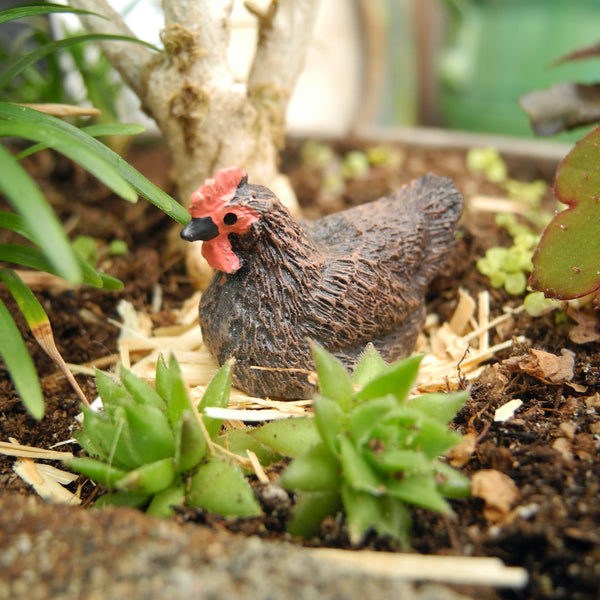 Mini Garden Critter: Lil' Pet Hen + Bedding