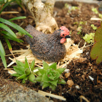 Mini Garden Critter: Lil' Pet Hen + Bedding