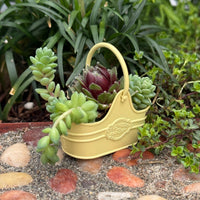 Pretty Yellow Garden Trug