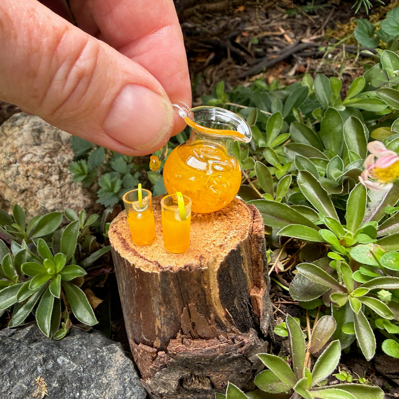 Miniature Juice with Glasses