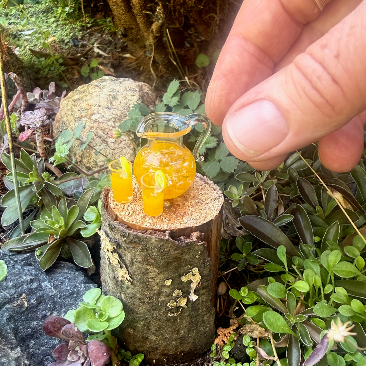 Miniature Juice with Glasses