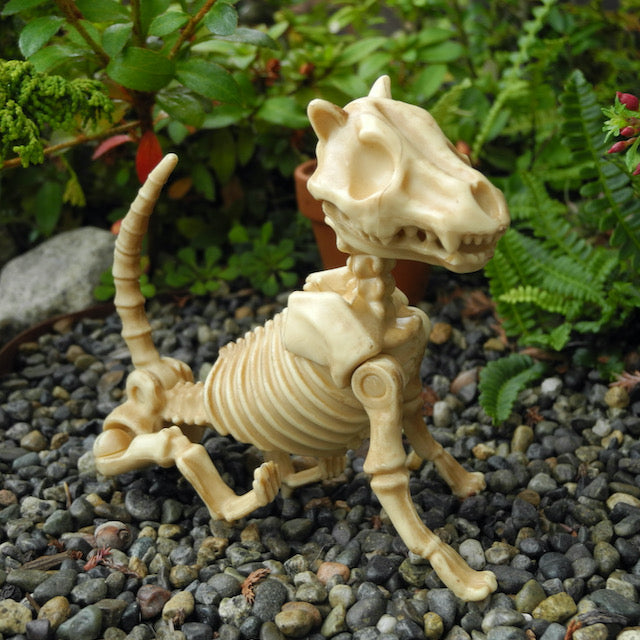 Skeleton Cat, Pose-able!