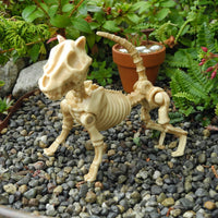 Skeleton Cat, Pose-able!