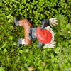 Bruce the Gnome Zombie, Staked