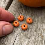 Tiny Pumpkins, Set of 4