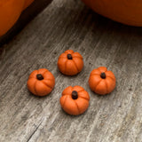 Tiny Pumpkins, Set of 4