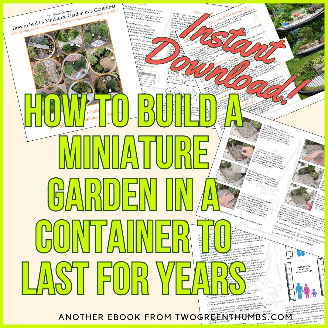 How to Build a Long-Lasting Miniature Garden in a Pot, Instant Download