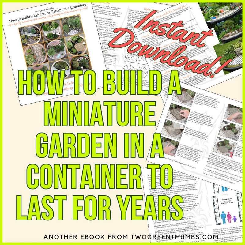 How to Build a Long-Lasting Miniature Garden in a Pot, Instant Download