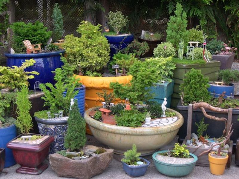 Customized for YOU! A Miniature Garden Kit, eBook & Shipping Included!