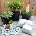 BLACK FRIDAY Super Special Miniature Garden Cypress Kit - FREE Shipping!