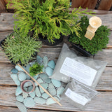 Miniature Garden Cypress Kit, Includes Shipping!