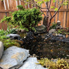 Miniature Garden Lakeside Hideaway Kit