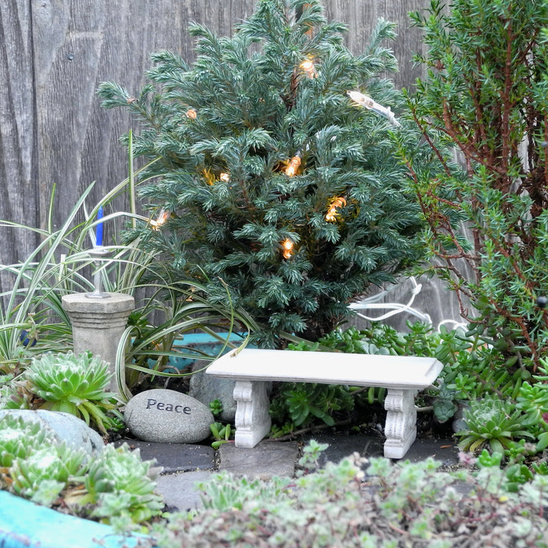 Miniature garden scene with a small tree, bench, and decorative elements against a wooden fence.