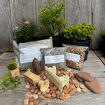Complete Miniature Garden Kit with Japanese Cedars, Shipping Included!