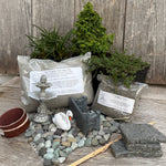 Complete Miniature Garden Kit with Gemstone Hinoki Cypress, Shipping Included!