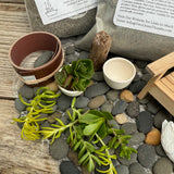 Complete Miniature Garden Kit with Plum Pine Shipping Included!