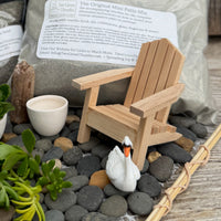 Complete Miniature Garden Kit with Plum Pine Shipping Included!