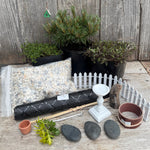 Complete Miniature Garden Kit with Slowmound Mugo Pine Shipping Included!