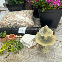 Complete Miniature Garden Kit with Sunny Swirl Hinoki Shipping Included!
