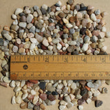 Southern Rainbow Mini Garden Pebbles, PDF Instructions