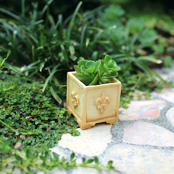 Fleur de Lis Planter Box, Ivory